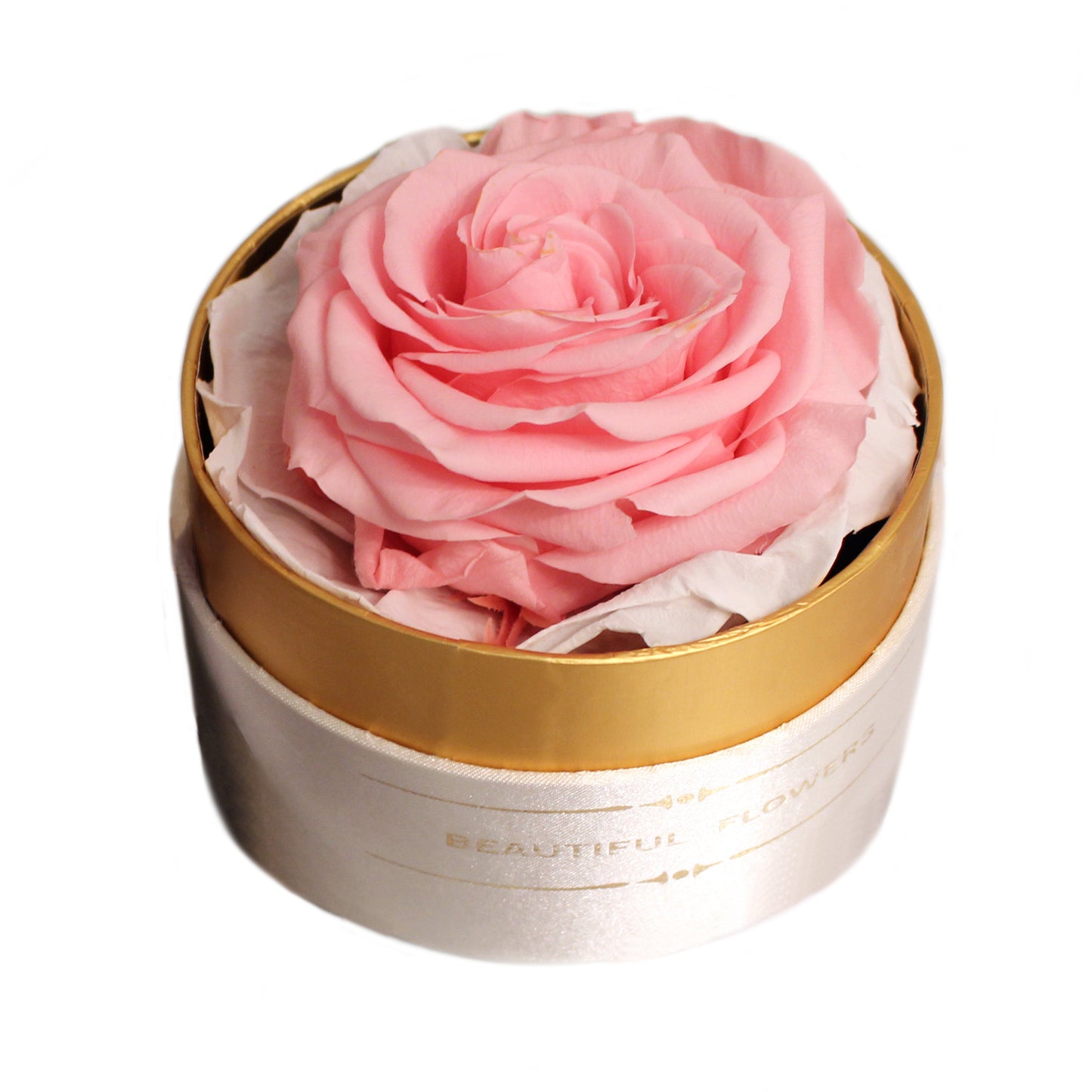 Trandafir criogenat roz XL Gardinea Domain®, cutie alb, satin