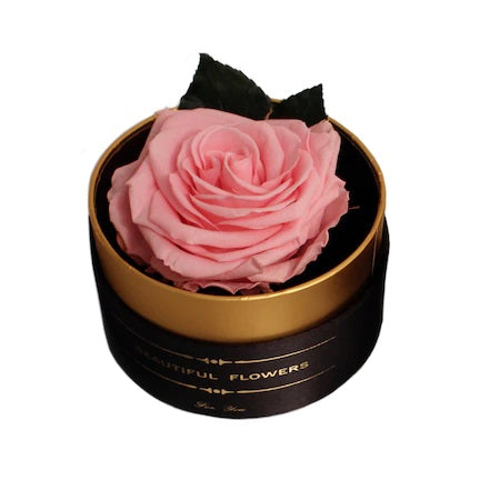 Trandafir criogenat roz XL Gardinea Domain®, cutie negru, satin