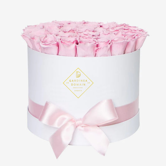 Aranjament floral Gardinea Domain® 25 trandafiri roz in cutie alba cadou