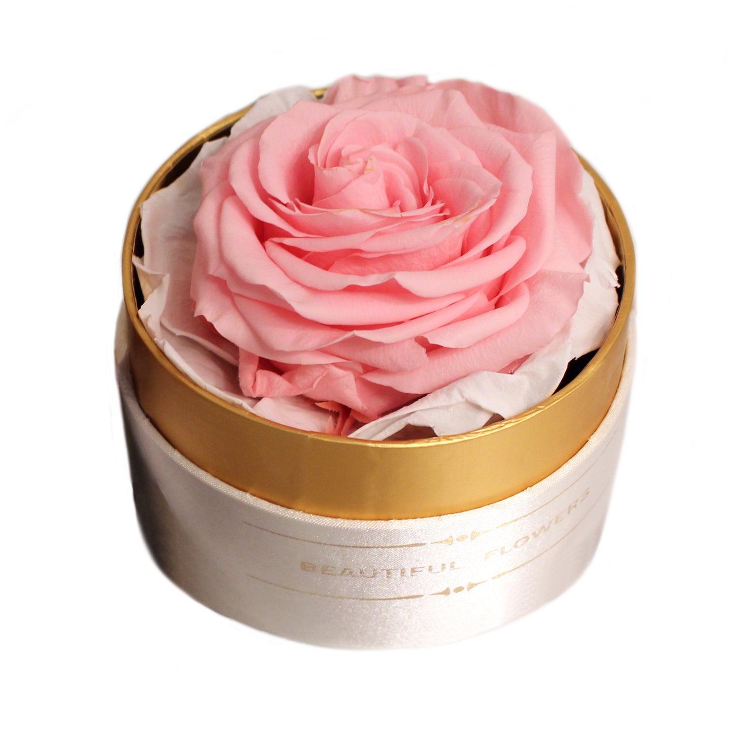 Trandafir criogenat roz XL Gardinea Domain®, cutie alb, satin